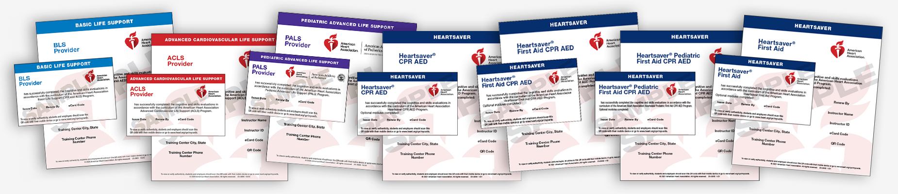 CPR and BLS first aid certified in tallahassee